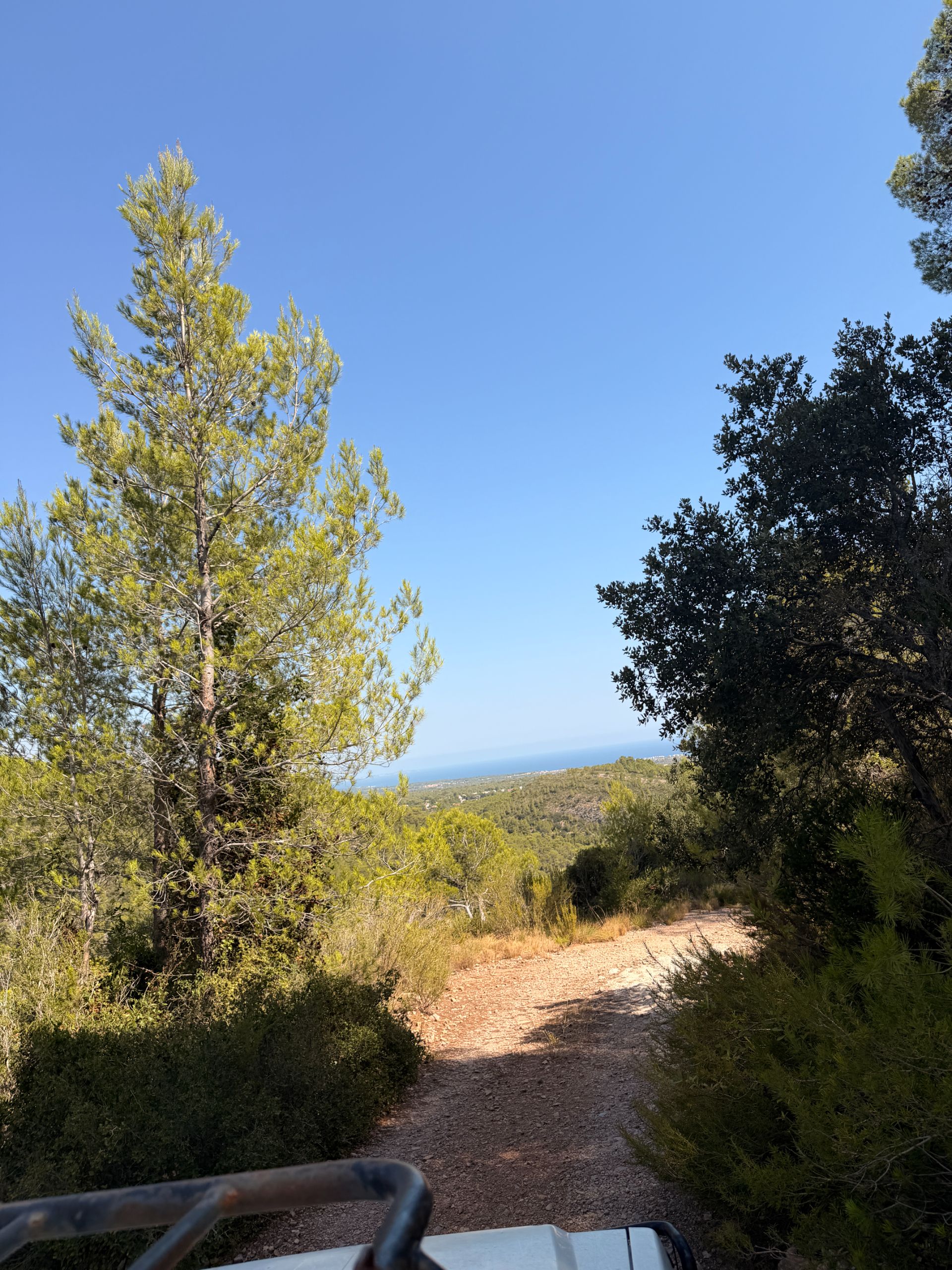 ++ Finca rustical en Vandellos ++ - Image 11